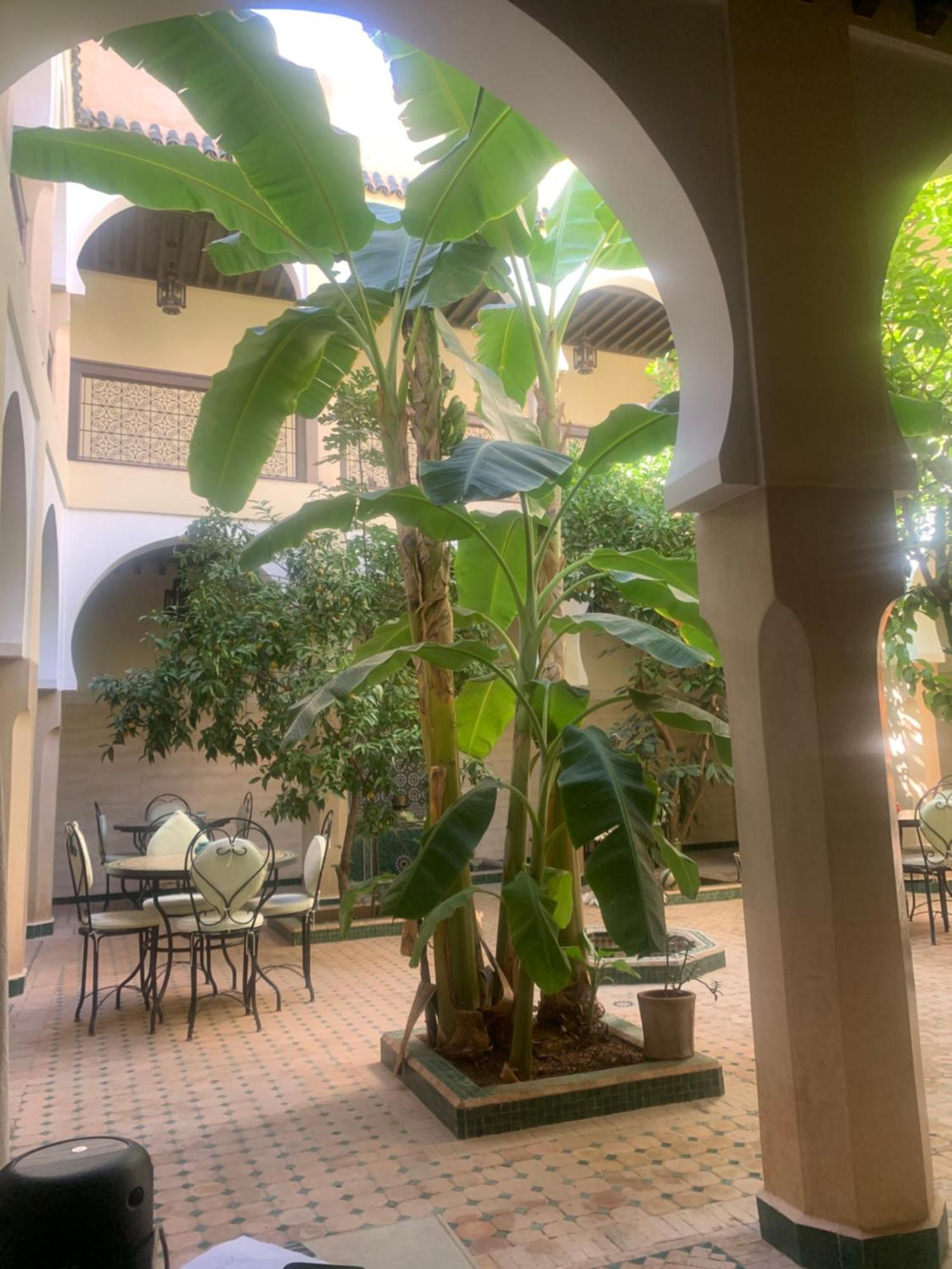 Riad Tidar By Phoenix Marrakesh Exterior photo