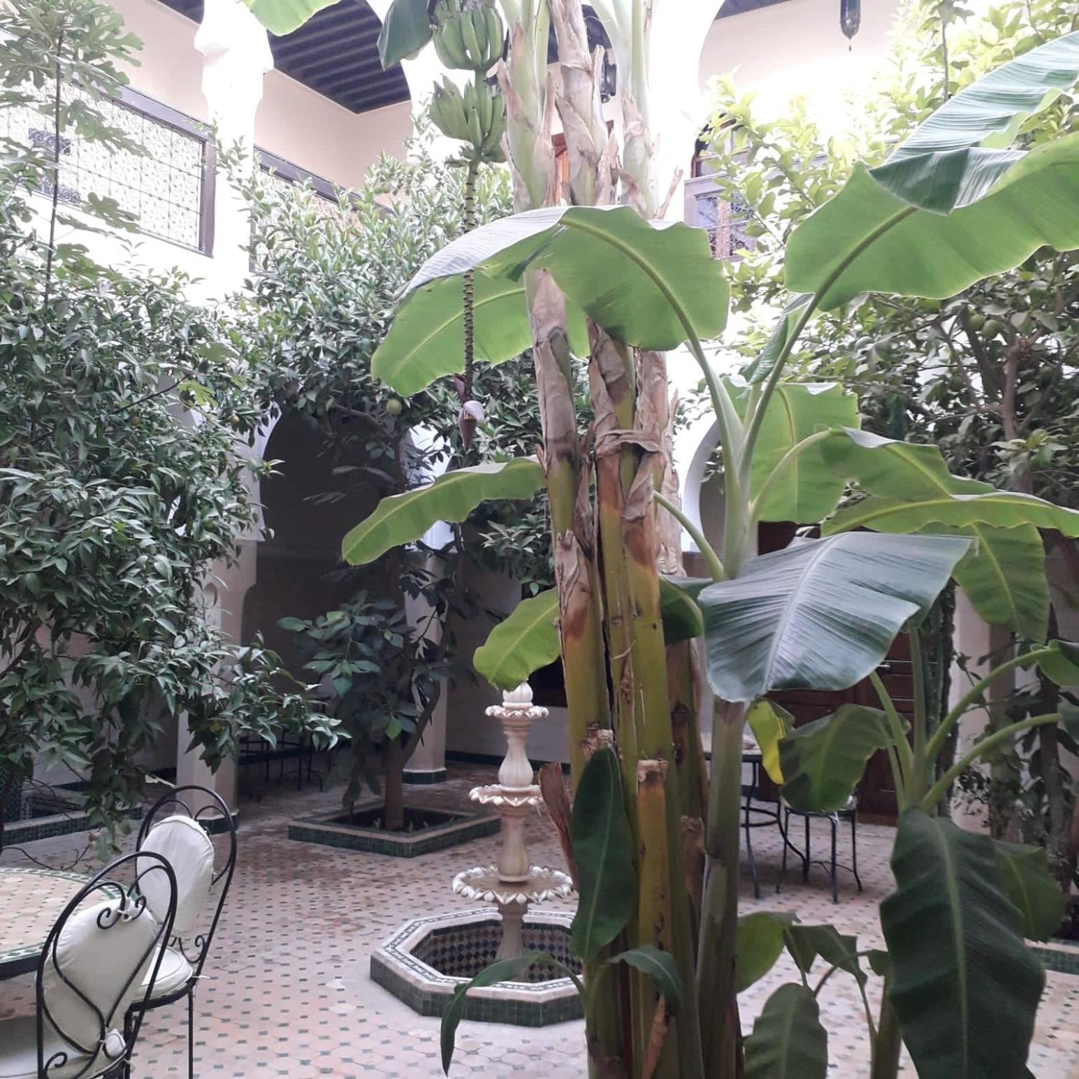 Riad Tidar By Phoenix Marrakesh Exterior photo